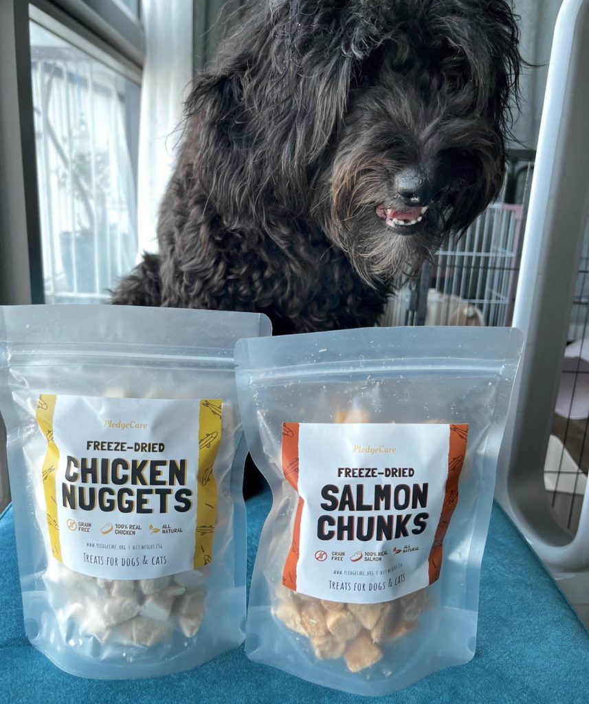 dog with freeze-dried treats